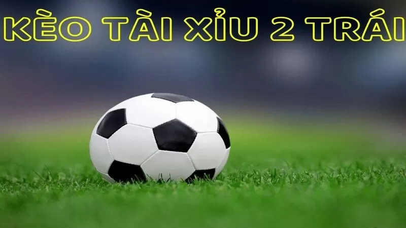 Định nghĩa về h&igrave;nh thức chơi k&egrave;o t&agrave;i xỉu 2 tr&aacute;i