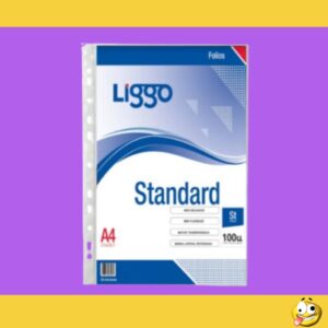 FOLIOS A4 X 100