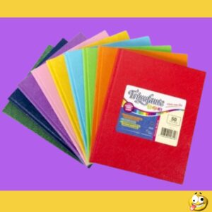 CUADERNO T/D TRIUNFANTE/LAPRIDA 19X24 100HJS