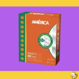 REPUESTO AMERICA N3 480H