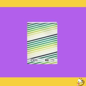 BLOCK ALFA A6 CON ESPIRAL X 80 HOJAS 308438