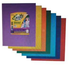 CUADERNO T/D EXITO 19X24 48HJS