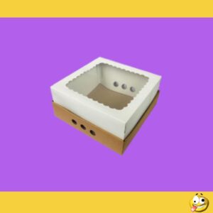 CAJA C/VISOR 30X30X12CMS X10 779387694430